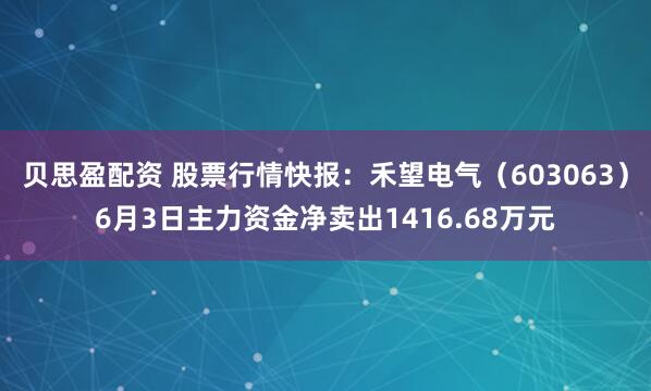 贝思盈配资 股票行情快报：禾望电气（603063）6月3日主力资金净卖出1416.68万元