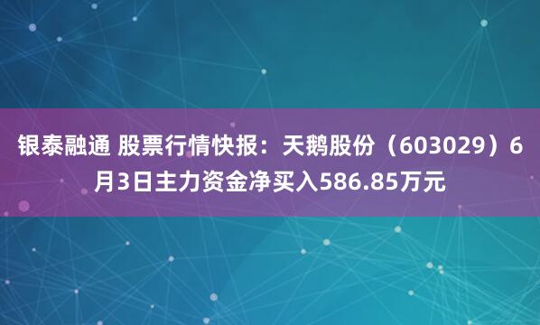 银泰融通 股票行情快报：天鹅股份（603029）6月3日主力资金净买入586.85万元