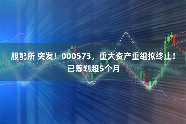 股配所 突发！000573，重大资产重组拟终止！已筹划超5个月
