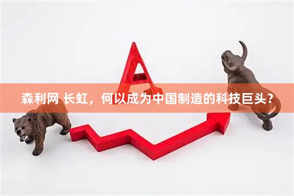 森利网 长虹，何以成为中国制造的科技巨头？