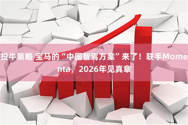 投牛策略 宝马的“中国智驾方案”来了！联手Momenta，2026年见真章