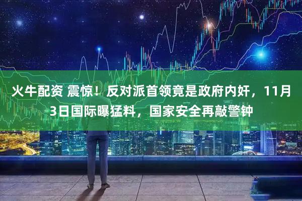 火牛配资 震惊！反对派首领竟是政府内奸，11月3日国际曝猛料，国家安全再敲警钟