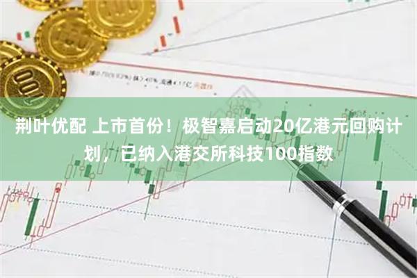 荆叶优配 上市首份！极智嘉启动20亿港元回购计划，已纳入港交所科技100指数