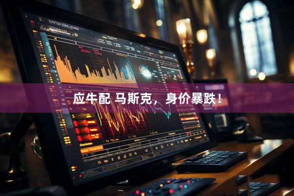 应牛配 马斯克，身价暴跌！